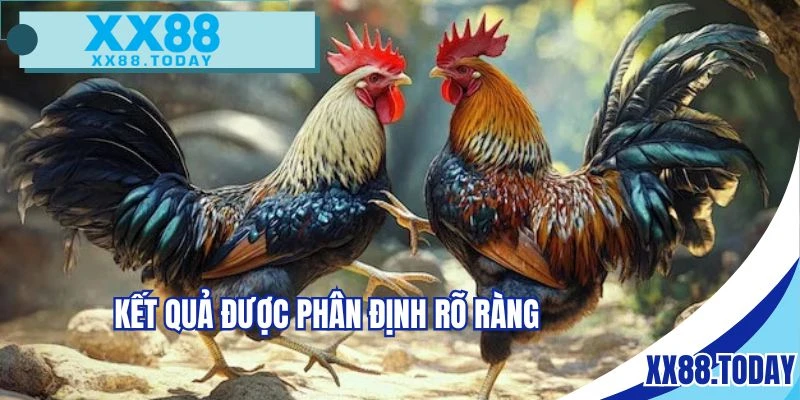 Phân định kết quả rõ ràng cho một trận tranh đấu